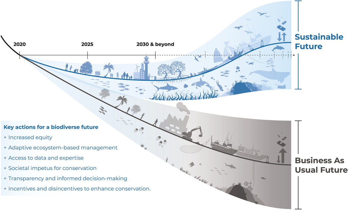 Future Seas added to the Biosphere Futures website